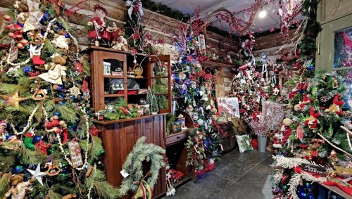 A cozy room filled with decorated Christmas trees, festive ornaments, and holiday decorations throughout.