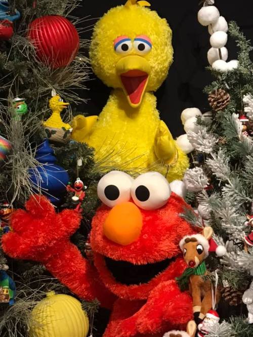 Elmo and Big Bird from Sesame Street among colorful holiday decorations and trees.