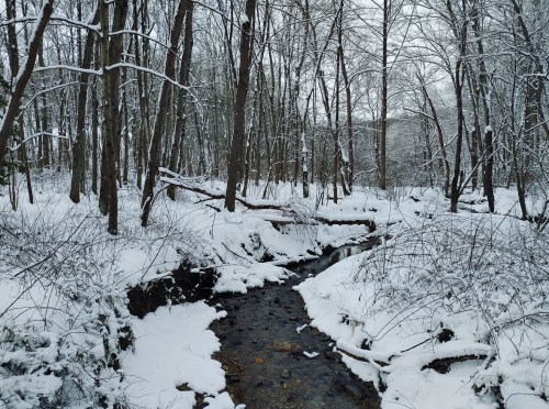 A serene winter scene with a snow-covered forest and a gently flowing creek surrounded by bare trees.