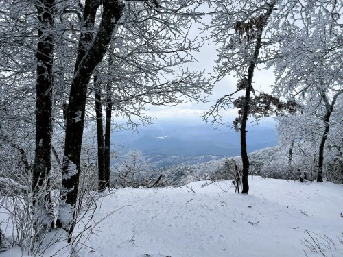 A snowy landscape with frosted trees overlooking a misty mountain view.