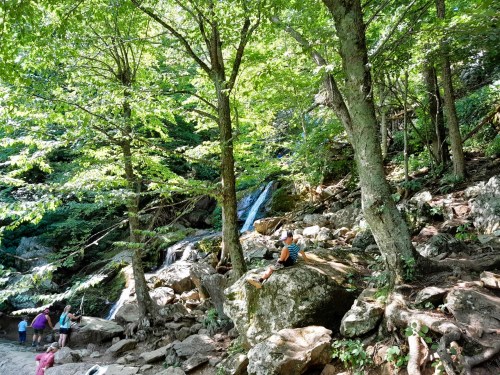 A serene forest scene with a waterfall, surrounded by lush green trees and people exploring the rocky area.