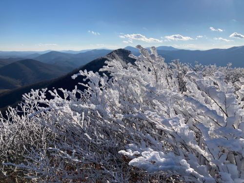 Snow-covered branches in the foreground with a panoramic view of mountains under a clear blue sky.