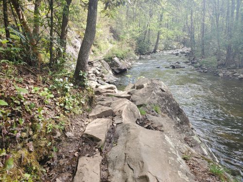 A rocky path alongside a flowing river, surrounded by lush greenery and trees in a serene natural setting.