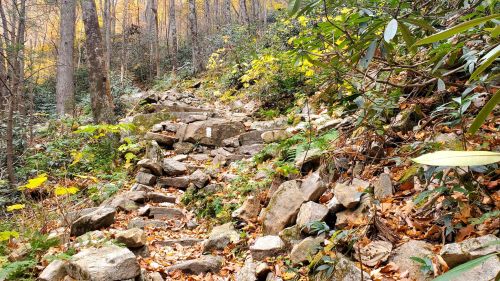 A rocky trail winding through a forest with autumn foliage and greenery on either side.