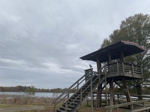 A wooden observation tower beside a lake, surrounded by trees under a cloudy sky.