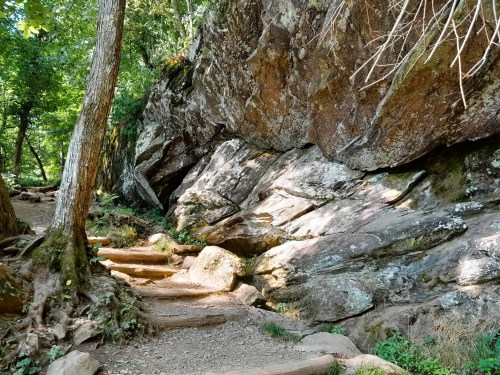A rocky path surrounded by trees, leading up to a large boulder in a lush, green forest.
