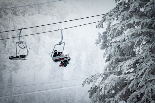 Two skiers on a chairlift surrounded by snow-covered trees in a winter landscape.