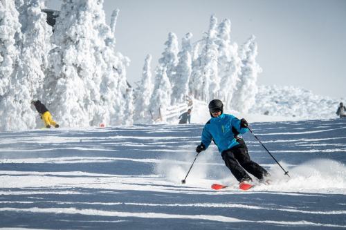 A skier in a blue jacket navigates a snowy slope, surrounded by frosted trees on a bright winter day.