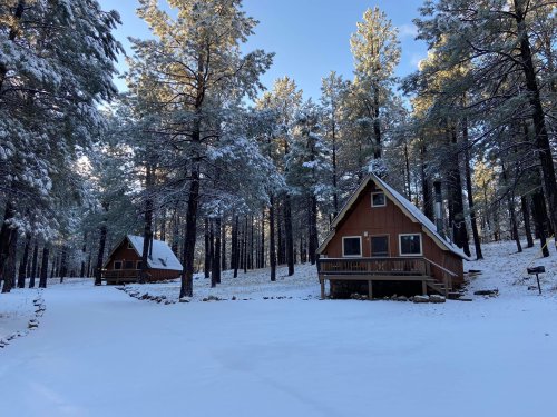 Two wooden cabins surrounded by snow-covered trees in a serene winter landscape.