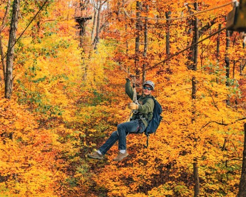 A person zip-lining through a vibrant autumn forest filled with orange and yellow leaves.
