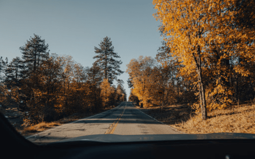 A scenic view of a winding road lined with autumn trees, showcasing vibrant orange and yellow foliage.
