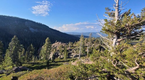 A scenic view of a mountainous landscape with trees, rocky terrain, and a clear blue sky.