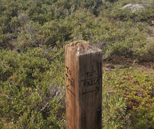 A weathered wooden post with directional arrows pointing to "Trail" and "Falls," surrounded by lush greenery.