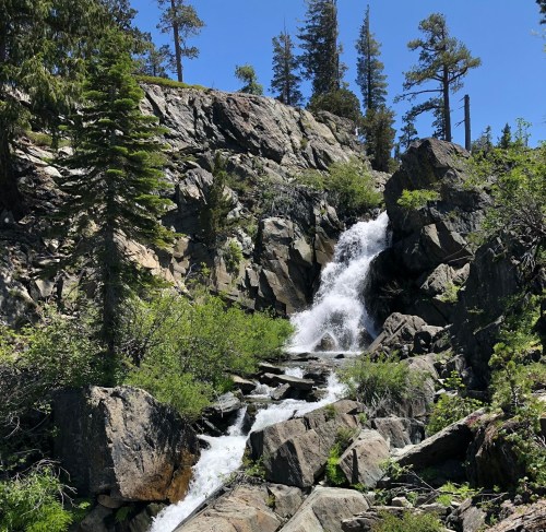 A cascading waterfall flows over rocks, surrounded by lush greenery and tall trees under a clear blue sky.