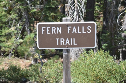 A brown sign reading "Fern Falls Trail" surrounded by trees and greenery.