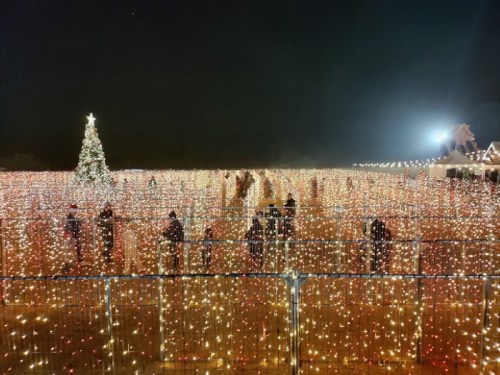 A festive scene with a large Christmas tree surrounded by a field of colorful lights and people enjoying the display.