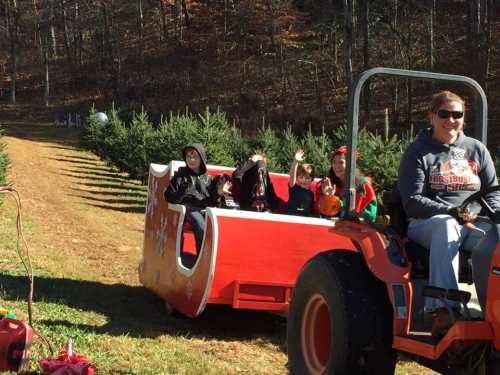 A festive tractor pulls a decorated sleigh with children and adults, surrounded by Christmas trees on a sunny day.