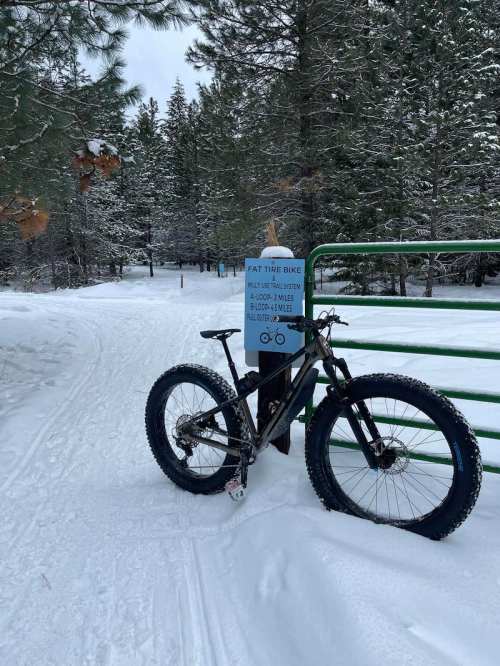 A fat tire bike parked by a sign at a snowy trail entrance surrounded by pine trees.