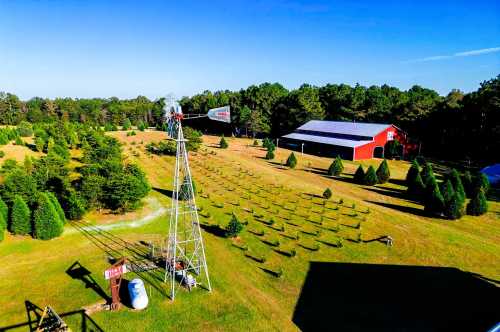 Thomley’s Christmas Tree Farm in Hattiesburg, MS