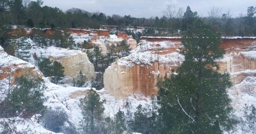 Snow-covered cliffs surrounded by trees in a scenic landscape.