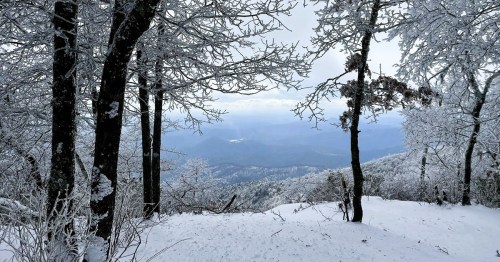 A snowy landscape with bare trees, overlooking a misty valley and distant mountains under a cloudy sky.
