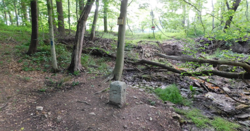 A stone marker stands in a wooded area near a creek, surrounded by trees and greenery.