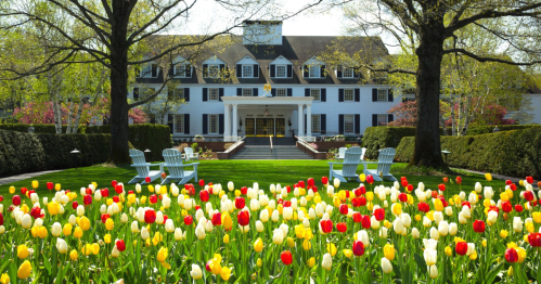 A beautiful garden with colorful tulips in front of a large, elegant white mansion surrounded by trees.