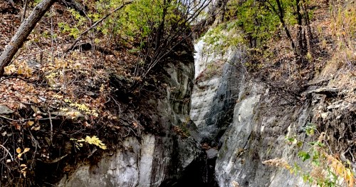 A narrow canyon with rocky walls, surrounded by trees and autumn foliage, leading to a small stream at the bottom.