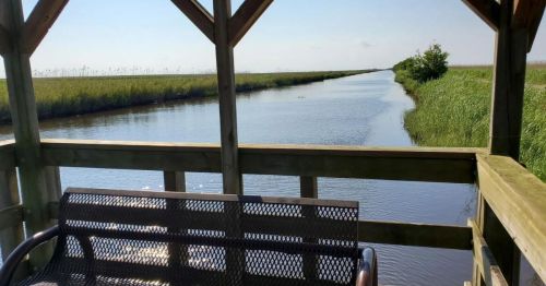 A wooden viewing platform overlooks a calm waterway surrounded by tall grasses under a clear blue sky.
