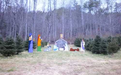 A wooden nativity scene with colorful figures set among evergreen trees in a rural landscape.