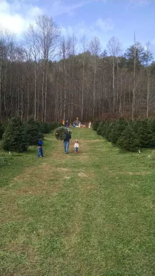 A family walks through a Christmas tree farm, surrounded by evergreen trees and a forested backdrop.