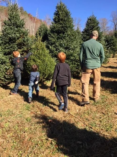 Four people, including three children, walking among Christmas trees on a sunny day.
