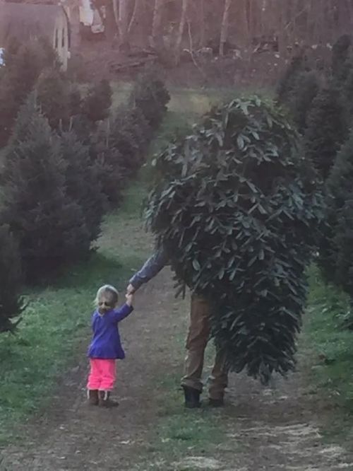 A person dressed as a bush walks hand-in-hand with a young girl through a tree farm.