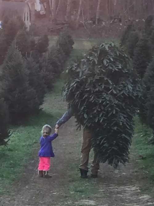 A person dressed as a bush walks hand-in-hand with a young girl through a tree farm.