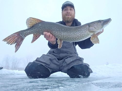 A person in winter gear holds a large northern pike while kneeling on snow and ice, with a foggy background.