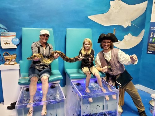 A woman and a child hold a snake while a pirate-costumed man poses beside them in a colorful aquarium setting.