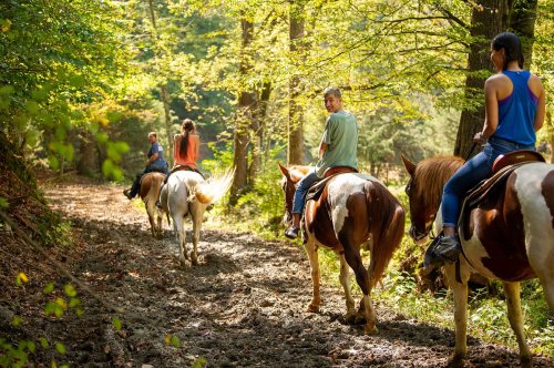 A group of people riding horses along a muddy trail in a forest during autumn. Trees with green and yellow leaves surround them.