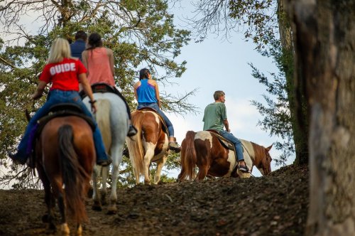 A group of people riding horses along a wooded trail, with trees and a clear sky in the background.