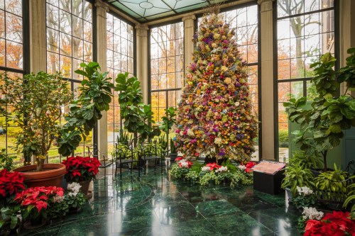 A beautifully decorated Christmas tree surrounded by lush plants and poinsettias in a sunlit conservatory.