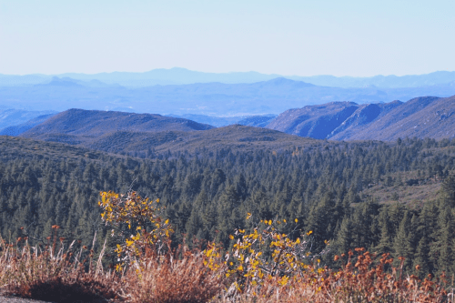 A panoramic view of rolling mountains and dense forests under a clear blue sky.