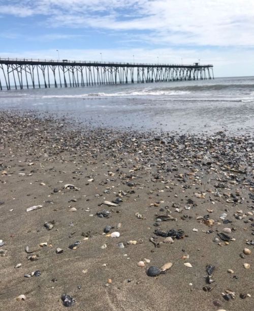 A sandy beach with scattered seashells and a pier extending over calm waters under a cloudy sky.