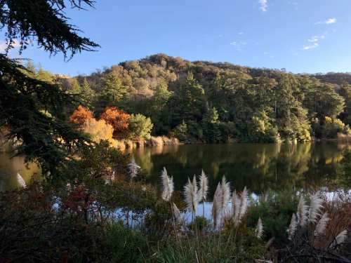 A serene lake surrounded by lush greenery and autumn-colored trees under a clear blue sky.