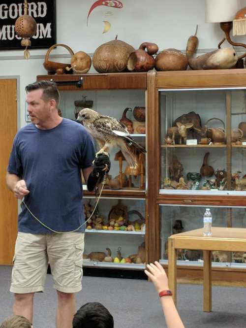 A man holds a hawk on his arm in a museum, while children raise their hands in the foreground.