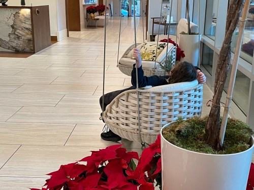 A child sits on a white swing in a modern lobby, surrounded by red poinsettias and a stylish interior.