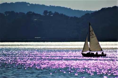 A sailboat glides across a shimmering water surface, reflecting purple hues under a clear sky and distant hills.