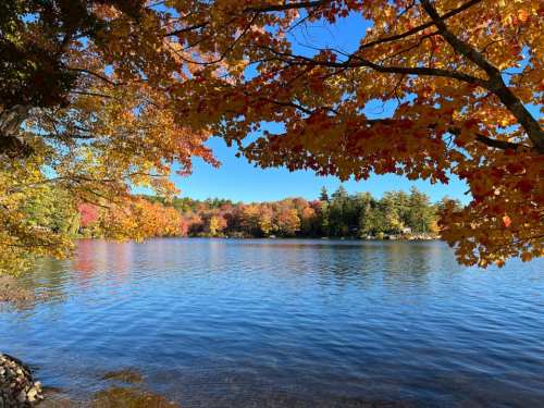 A serene lake surrounded by vibrant autumn foliage and clear blue skies.