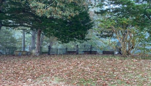 A foggy scene of a cemetery with a wrought iron fence, surrounded by trees and fallen leaves.