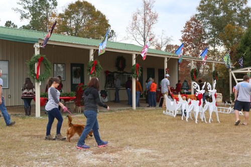 People walk with a dog near a festive building decorated for the holidays, with flags and wreaths displayed.