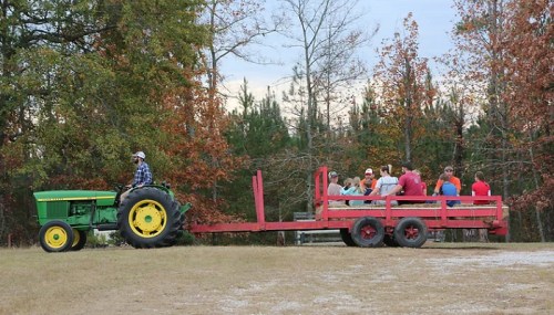 A green tractor pulls a red wagon with a group of people enjoying a ride through a rural landscape.