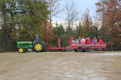 A green tractor pulls a red wagon with people seated, surrounded by trees in autumn colors.